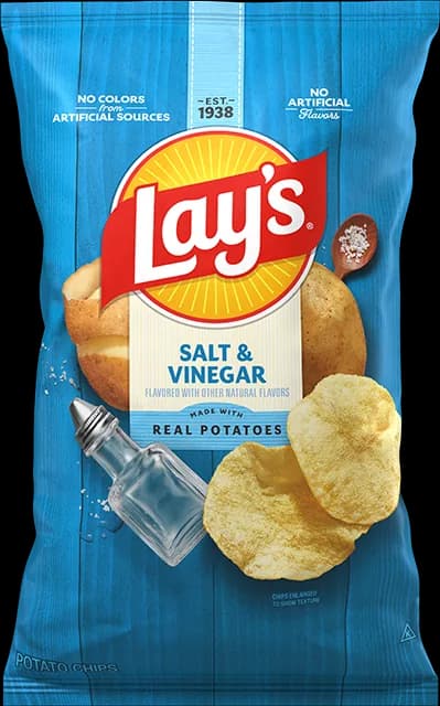 Lay's Salt & Vinegar Potato Chips
